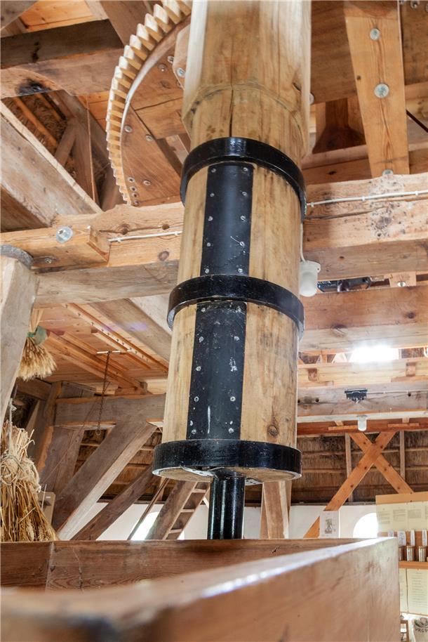 Das passiert hinter den Kulissen der Midlumer Mühle Midlum Mühle