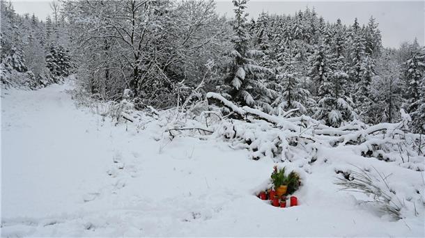 Getötete Zwölfjährige: Mädchen nicht mehr bei ihren Familien Blumen am Fundort der getöteten Zwölfjährigen.