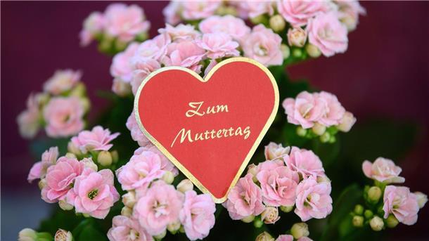 Blumen zählen zu den beliebtesten Geschenken zum Muttertag, hier gelten allerdings nur beschränkte Verbraucherrechte.