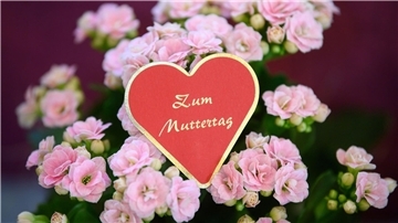Blumen zählen zu den beliebtesten Geschenken zum Muttertag, hier gelten allerdings nur beschränkte Verbraucherrechte.