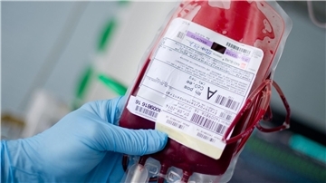 Blutspenden werden in Deutschland in Einzelbestandteile zerlegt (Archivbild).