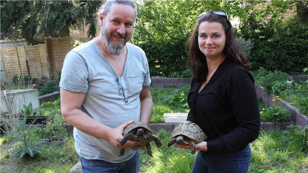 Boris Schmaldienst und Stefanie Rathjen halten jeweils eine Schildkröte in ihren Händen.