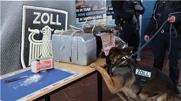 Rauschgiftspürhund des Zolls