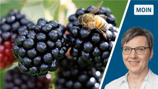 Mein seltsames Hobby beschert mir süßes Sommerglück im Glas Collage Brombeeren / Portrait Andrea Vogt