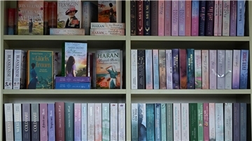 Bücher des Verlages Bastei Lübbe stehen in der Unternehmenszentrale in einem Regal.