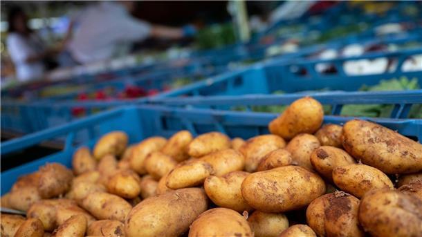 Bürgerrat zur Ernährung: Was bringt das neue Forum? Bürgerinnen und Bürger sollen Vorschläge zur Politik rund ums Essen machen.