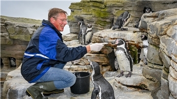 Bürgerschaftspräsident Frank Imhoff ist unterwegs, um all denen zu danken, die es ermöglicht haben, dass andere Ferien machen - im Zoo am Meer Bremerhaven hat er den Pinguinstall geschrubbt und die Tiere gefüttert. Imhoff hat während der vier Wochen auch im Freibad mit angepackt, sich als Stadtführer versucht, hat eine Jugendfreizeit besucht und stand bei der Hafenrundfahrt am Ruder.