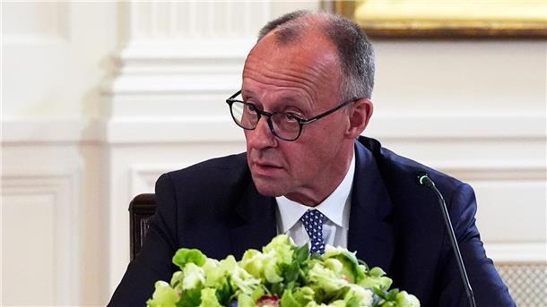 Gipfel im Weißen Haus ist uneins über Waffenruhe für Ukraine Bundeskanzler Merz sprach sich in Washington für eine schnelle Waffenruhe aus
