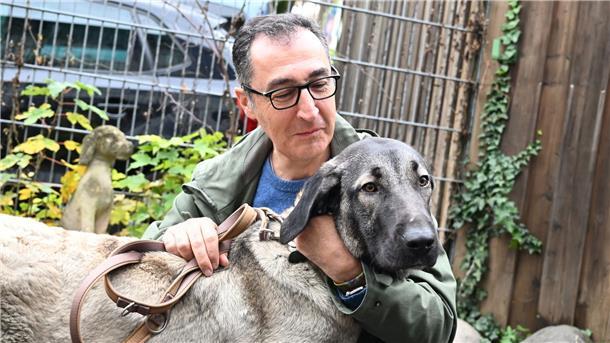 Bundeslandwirtschaftsminister Cem Özdemir streichelt bei seinem Besuch im Tierheim in Stuttgart-Botnang eine Kangal-Hirtenhündin.
