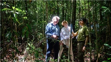 Bundespräsident Frank-Walter Steinmeier (l-r) und seine Frau Elke Büdenbender werden im Kuching Wetland Nationalpark durch einen Urwald geführt.