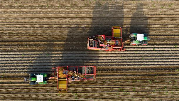 Bundestag beschließt Abschaffung von Subventionen beim Agrardiesel: CDU-Landtagsabgeordneter Marco Mohrmann und Alexander von Hammerstein, Vorsitzender des Landvolk-Kreisverbandes, kritisieren die Bundespläne.