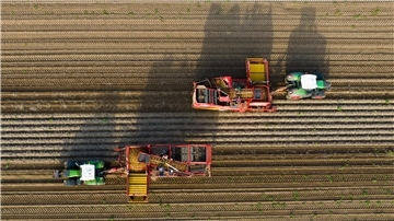 Bundestag beschließt Abschaffung von Subventionen beim Agrardiesel: CDU-Landtagsabgeordneter Marco Mohrmann und Alexander von Hammerstein, Vorsitzender des Landvolk-Kreisverbandes, kritisieren die Bundespläne.