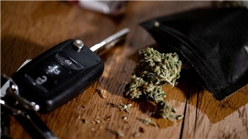 Cannabis