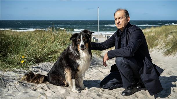 „Nord Nord Mord“ kommt auf den Hund Carl Sievers versucht, das Vertrauen des scheuen Hundes Joker zu erlangen.