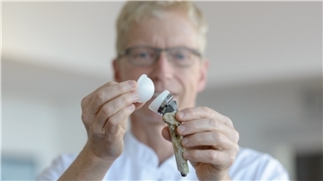 Dr. Klaus Reichstein