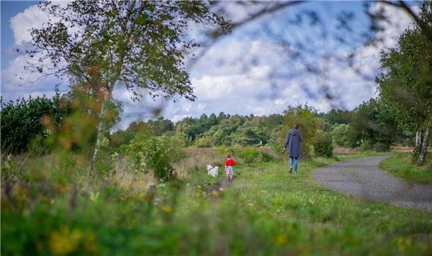 Cuxhavener Küstenheiden Ende August 2023. Foto: HartmannSpaziergänger nutzen die...