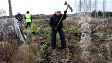 35 Jahre Bergwaldprojekt – wie sich der Wald verändert hat Das Bergwaldprojekt hat in 35 Jahren unter anderem zahlreiche Bäume gepflanzt.