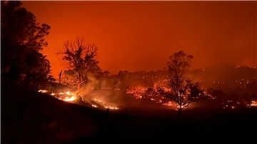 Das Buschfeuer nahe Kempsey nordöstlich von Sydney.