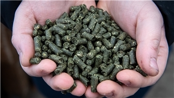 Das Emder Ökowerk entwickelt einen Bio-Dünger auf Basis von Blasentang. Noch laufen Versuchsreihen. Doch eines Tages, so die Hoffnung der Entwickler, könnte der Nährstoff großflächig in der Landwirtschaft eingesetzt werden und so mehrere Umweltprobleme lösen.