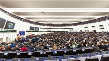 Das Europäische Parlament in Straßburg: „Die Abgeordneten nehmen die Erklärungen nicht ernst“, so  Transparency International.