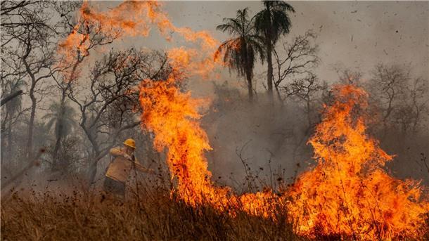 Indigene Feuerwehrleute kämpfen in Brasilien gegen Flammen Das Feuer richtet Verwüstung in der gesamten Region an.