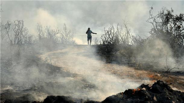 Mindestens zwei Tote bei Bränden auf Zypern Das Feuer tobt nördlich der Hafenstadt Limassol.