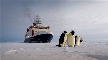 Das Forschungsschiff „Polarstern“, hier im Weddellmeer, ist in die Jahre gekommen. Die Ausschreibung für das Nachfolgeschiff „Polarstern II“ muss jetzt neu anlaufen.
