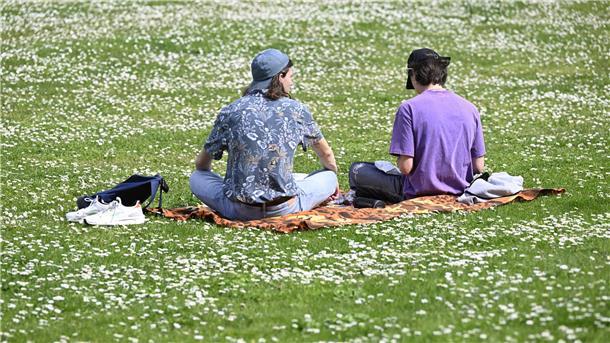 Zwei Jugendliche sitzen auf einer Wiese mit vielen Gänseblümchen. 