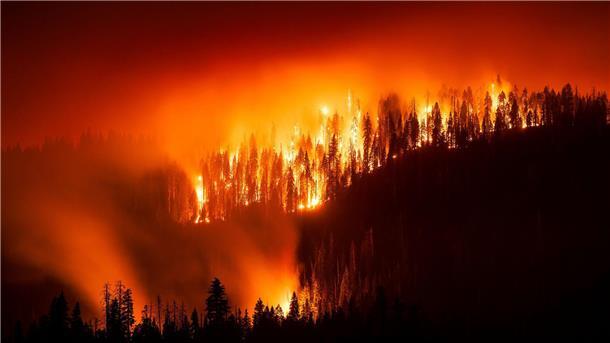 Waldbrand bedroht Riesenmammutbäume in Kalifornien Das „Garnet Fire“ bedroht Riesenmammutbäume im Waldgebiet McKinley Grove.