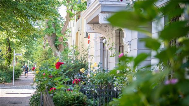 Bremerhavener Goetheviertel als Schlüsselprojekt für die IBA Üppige Vorgärten an einer Straße.