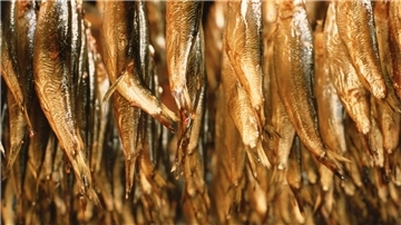 „Das Gold aus dem Rauch“ heißt eine neue Ausstellung im Cuxhavener Museum „Windstärke 10“, die die Cuxhavener Räucherei Hugo Oehne in den Mittelpunkt stellt.