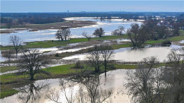 Keine Entwarnung in Hochwasser-Gebieten Das Hochwasser vom deutsch-polnischen Grenzfluss Oder hat schon teilweise Wiesen vor dem Deich überflutet.