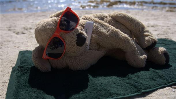 Das Hotel-Team nimmt den Plüschhund ab und zu mit an den Strand.