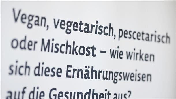 Forschung zu Fleischverzicht, Fleischersatz und Fitness Das Internet ist voll von vermeintlichen Erkenntnissen darüber, wie sich Ernährungsstile auf den Körper auswirken - nun soll eine Studie Fakten liefern.