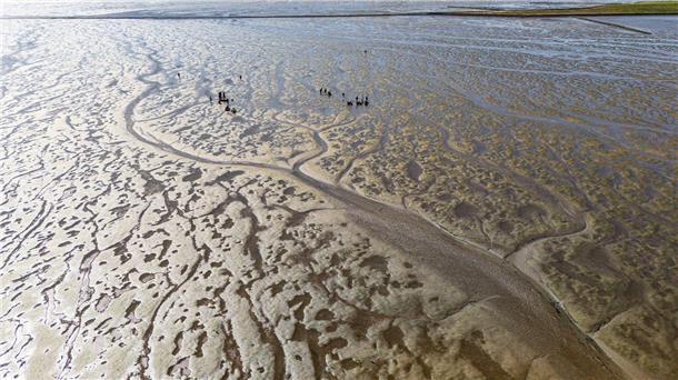 Das Meerwasser im Watt erwärmt sich besonders schnell. (Archivbild)