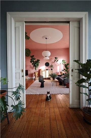 Blick in eine Altbauwohnung mit Katze