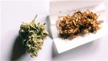 Das neue Gesetz erlaubt Volljährigen in Deutschland ab dem 1. April den Konsum von Cannabis.
