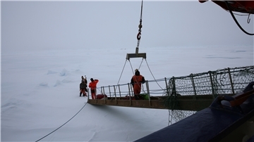 Das „Polarstern“-Team betritt die Scholle über die Gangway.