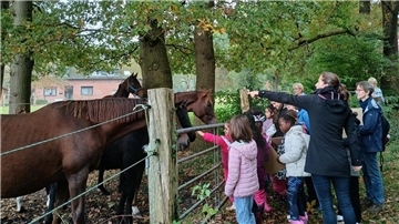 Das Reitevent der mitKids Bremerhaven: Möglich gemacht durch den Reitverein Hahnenknoop auf der Reitsportanlage Bührig-Piontek in Loxstedt-Hahnenknoop.