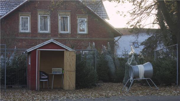 So unterschiedlich sind die Geschmäcker beim Weihnachtsbaum rotes Haus