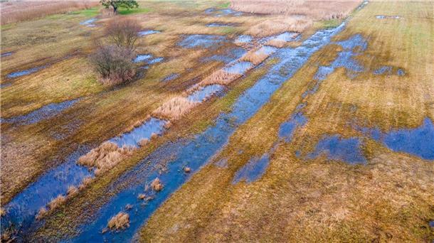 Warum das Schwinden der Moore so brisant ist Das rund 36 Hektar große wiedervernässte Hangquellmoor Binsenberg. Trockengelegte Moore stoßen Treibhausgas aus. Ihre Wiedervernässung gilt als wichtige Klimaschutz-Maßnahme.