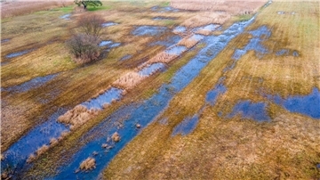 Das rund 36 Hektar große wiedervernässte Hangquellmoor Binsenberg. Trockengelegte Moore stoßen Treibhausgas aus. Ihre Wiedervernässung gilt als wichtige Klimaschutz-Maßnahme.