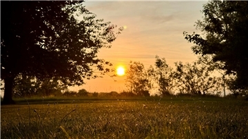 Sonnenuntergang über eine Wiese.