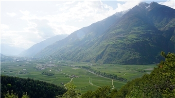 Das untere Vinschgau ist geprägt von Apfelplantagen.