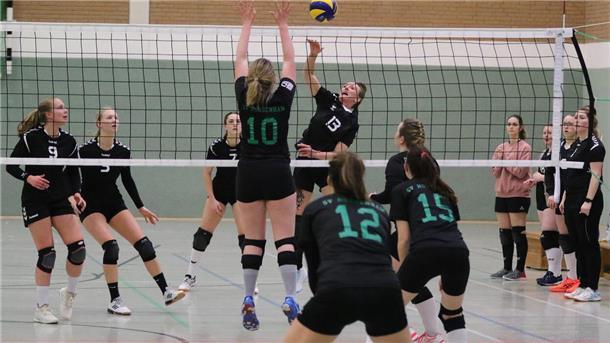 SV Nordenham Volleyball