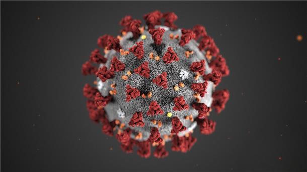 Long Covid: Medizinisches Netzwerk im Aufbau Das Virus entwickelt verschiedene Symptome.
