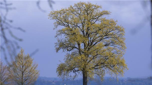 Wechselhaftes Wetter am Wochenende und zum Wochenbeginn Das Wetter in Deutschland bleibt in den nächsten Tagen wechselhaft.