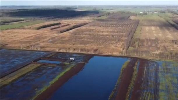 Luftaufnahme des Ahlen-Falkenberger Moores. Das Moor wird wiedervernässt.