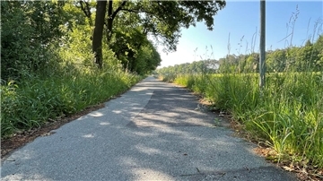 Ein Fahrradweg, der zwei "geflickte" Stellen aufweist. Links und rechts des Weges grünt es: Das Gras blüht.