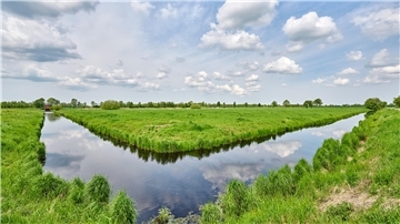Dauergrünland auf Moorböden im Ahlenmoor. Mehr als 80 Prozent der Moorböden im Landkreis Cuxhaven werden landwirtschaftlich genutzt, 74 Prozent aktuell als Dauergrünland.